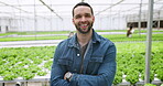 Farmer, nursery and man in garden, arms crossed and sustainable farming for agriculture, gardening and smile. Portrait, ecology and organic products for eco friendly, greenhouse and food production
