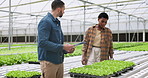 Hydroponic farm, lettuce and scientists in discussion in greenhouse, checklist and sustainability for quality control. Garden science, eco friendly plants and water saving project with collaboration 