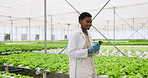Greenhouse, walking and black woman with research, agriculture and science with plants inspection, clipboard and science with farming, compliance investigation and quality assurance with eco garden
