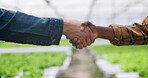 Hydroponic farm, plants and people handshake in greenhouse, collaboration and sustainable business. Garden science, water saving and partnership deal in aquiculture planting of vegetables teamwork