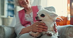Senior woman, sofa and dog in home with playing, memory or thinking for care, love and stroke fur. Elderly person, pet or animal in house, retirement or peace for calm with talk, kindness and happy