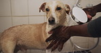 He finds bath time so relaxing