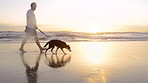 I like long walks on the beach...with my dog