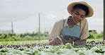 Farmer, tablet and greenhouse plants, farming or gardening with agriculture inspection, research or growth checklist. African woman with sustainable, vegetables progress or leaf on digital technology