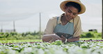 Woman, tablet and greenhouse, farming or gardening in agriculture inspection, plants research or growth checklist. African farmer for sustainable, vegetables progress or leaves on digital technology