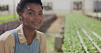 Woman, face and greenhouse farmer on field for sustainable business inspection, quality assurance or gardening. Black person, smile and vegetable growth soil for sustainability, agro or countryside