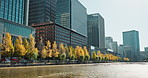 City, buildings and river on landscape, skyline and trees on sidewalk for sustainability in metro. Skyscraper, cityscape and nature with water, lake and outdoor in environment for urban expansion