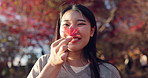 Japanese woman, red maple leaf and smile with smell, thinking and memory in autumn, adventure and holiday. Girl, plant and happy for vacation by forest, environment and outdoor with scent in Tokyo