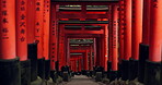 Japan, red torii gates and path in Fushimi inari-taisha for vacation, holiday or walkway for tourism. Pathway, Shinto religion and shrine in Kyoto for traditional architecture or spiritual culture