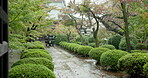 Park, rain and water in street in Japan, Setagaya Tokyo or empty building outdoor in nature. Wet weather, land and drops in green garden at Gotokuji temple, environment and trees with incense holder