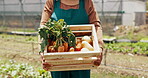 Person, vegetable and box in greenhouse for farming agriculture, supply chain or countryside. Worker, carrots and onion in box as gardening supplier for wellness food or environment, growth or land