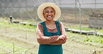 Farmer, mature or face of happy woman with arms crossed or pride in agriculture farming or gardening. Nature, land or business owner with organic crops or food production in eco friendly greenhouse