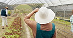 Agriculture, greenhouse farming and back of woman with sustainable business in nature for quality check. Industry, plant or behind female farmer outdoor with greenery, leaf or agro growth inspection