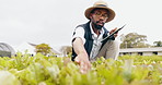 Black man, tablet and farming in greenhouse for harvest, production or inspection of crops or resources in nature. African male person with technology in agriculture for natural or fresh produce