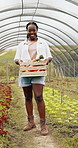 Farming, vegetables and black woman with box in greenhouse for agriculture or supply chain. Smile, produce and portrait of African female farmer with crate for agro sustainable food in environment.
