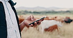 Phone, cattle and hands of farmer in field texting online for sustainability or agriculture in countryside. Closeup of man, online tips or cow farming in small business for dairy or food production
