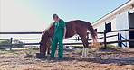 Vet, woman and horse with care at farm with container, feeding and helping for nutrition with grass. Doctor, veterinary person and animal for eating, diet and bucket at countryside ranch in Texas