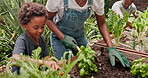 Family, garden and vegetables with a boy, plants and nature with empowerment and child development. Mother, child and agriculture with sustainability and earth day with environment and eco friendly