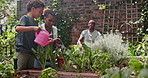 Mother, son and plants in backyard with gardening for sustainability, growth and watering soil. Environment, parents and boy child with garden development for leaves, teaching and greenery in nature