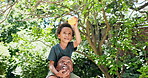 Family, father and boy picking an apple, summer and happiness with joy and bonding together. Garden, parent or dad with a child and sunshine with a fruit and helping with nature or healthy with break