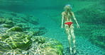 A young woman enjoying an underwater swim in a fresh lake on holiday, wearing a red bikini. A woman in a red bikini swimming underwater in a lake enjoying her holiday
