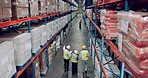 Shipping storage and stock with warehouse people walking together for logistics or shelf inspection. Delivery, supply and export with employee team working in plant for distribution from back