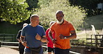 Fitness, nature and senior men running in outdoor park for race, competition or marathon training. Sports, exercise and group of elderly male people with cardio workout in field or garden for health.