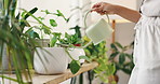 Hand, water and woman with plants in shop for care of sustainable, agriculture or agro hobby. Gardening, greenery and closeup of female botanist growing leaves for development in horticulture store.