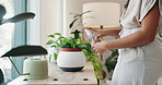 Hands, water and woman spray plants in shop for care of sustainable, agriculture or agro hobby. Gardening, greenery and closeup of female botanist growing leaves for development in horticulture store