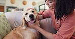 Woman, golden retriever or pet on sofa with care, stroke and happy for bonding with animal in lounge. Girl, person and dog mom with pet, scratch and playing with love on living room couch in house