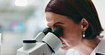 Woman, scientist and forensic study with microscope for science, microbiology or research at lab. Closeup of person or researcher looking in scope or lens for scientific breakthrough or discovery