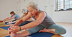 Senior woman, group and stretching with yoga class for zen, health and wellness together. Elderly people or yogi in pilates, training or workout for exercise, fitness or flexibility in warm up on mat