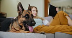 Tablet, relax and woman on couch with dog for movies, streaming and loyalty with animals in home. Pet care, woman with German Shepard and digital app for bonding, support and smile together on sofa