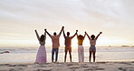 Friends, group and holding hands on beach for celebration or community goals as environment activist, solidarity or victory. People, back and nature for team building support, sunset or partnership