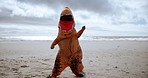 Mascot, funny and dinosaur costume on beach dancing with energy for comedy joke on vacation travel. Goofy, silly and inflatable animal outfit moving, jumping and having fun by ocean on holiday.