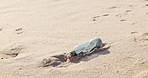 Beach, sand or plastic bottle in nature for pollution, climate change or global warming closeup. Litter, trash and garbage at the ocean for waste management, recycling or earth day cleaning project