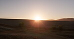 Sunrise, horizon and morning landscape or grassland, peaceful and daybreak in North America. Sustainability, agriculture plants or grass and nature background for peace, environment growth in spring