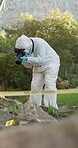 Crime scene, camera and forensic investigation in woods with hazmat suit for analysis in forest or nature. Visual proof, mystery or evidence markers with specialist, information and Canada for report