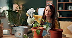 Watering, gardening and woman in home with plant, flower pot and liquid for growth, nutrition and health. Nature, leaves and gardener with tools for eco friendly, sustainable or organic living room