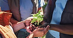 Hands, huddle and plants with community group together for environment sustainability or growth. Activism, earth day and gardening with volunteer people planting outdoor for charity from above