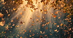 Abstract, art and glow with autumn leaves flying in fall with graphic in nature for ecology with shine. Wind, green and natural for plant growth or soil with beautiful, brown and habitat for wildlife