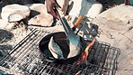 Camp, hand and cooking with pot on fire for fish breakfast, hungry or nutrition meal in nature. Travel, campsite and person with utensil for fishing trip, weekend break or summer adventure in forest