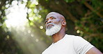 Senior black man, hiking or walking in forest for workout, sports and health in retirement. Male person, fitness or exercise outdoor in nature on adventure for cardio, training and exploring trees