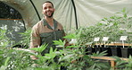 Face, smile and man farming weed in greenhouse for marijuana production or holistic medicine. Agriculture, happy and confident farmer with cannabis for planting, growth inspection and small business
