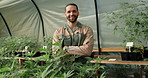Face, arms crossed or happy man farming in greenhouse for marijuana production or holistic medicine. Agriculture, smile and confident farmer with cannabis for planting, inspection and small business