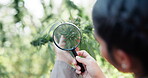 Magnifying glass, check or woman farming in nature or field for marijuana leaf production or hemp benefits. Agriculture, inspection or farmer gardening cannabis for planting growth or weed harvest