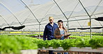 Tablet, greenhouse and walking with plants, people and conversation for organic produce, agriculture or harvest. Man, woman or farmers with discussion, soil or digital app with tech or sustainability