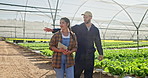 Happy, man and woman with clipboard for inspection at  greenhouse with sustainable crop field. Agriculture, people and mentor teaching intern how to farm and check plant growth and harvest compliance