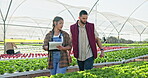 Teamwork, farmers and clipboard in greenhouse for writing notes, check crops and plants with discussion. Agriculture, garden and farm owner with paper, production inspection and growth in Australia