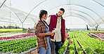 Happy, farmers and clipboard in greenhouse for teamwork, check crops and plants with discussion. Agriculture, garden and farm owner with paperwork, production inspection and growth in Australia